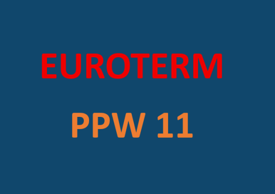 Gazowy podgrzewacz wody PPW 11